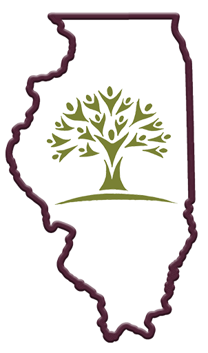 Illinois Online Academy